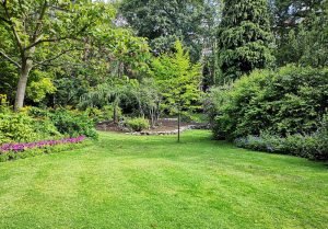 Optimiser l'expérience du jardin à Ajoncourt