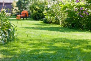 travaux jardin et paysage Ajoncourt